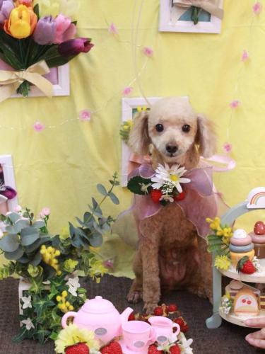 20230324バズくん